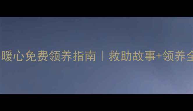 图片 🐾中山狗狗领养中心暖心免费领养指南｜救助故事+领养全流程+福利大公开！