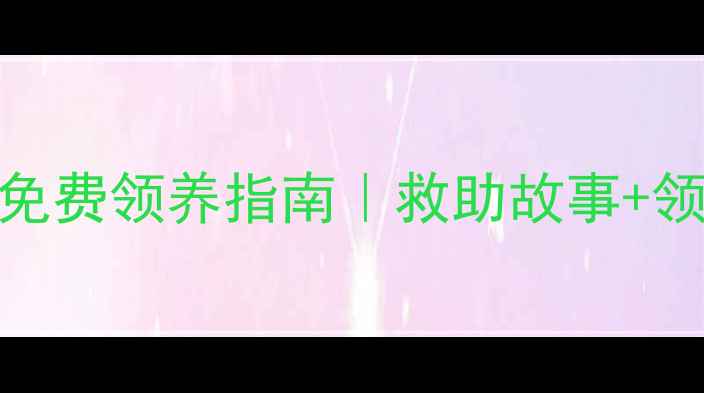 图片 🐾中山狗狗领养中心暖心免费领养指南｜救助故事+领养全流程+福利大公开！1