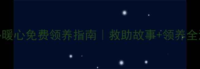 图片 🐾中山狗狗领养中心暖心免费领养指南｜救助故事+领养全流程+福利大公开！2