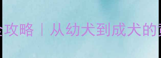 图片 🐾九个月博美养护全攻略｜从幼犬到成犬的黄金过渡期这样养！