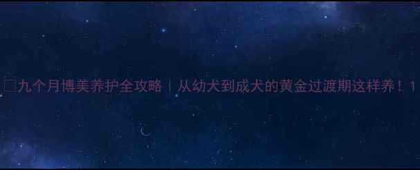 图片 🐾九个月博美养护全攻略｜从幼犬到成犬的黄金过渡期这样养！1