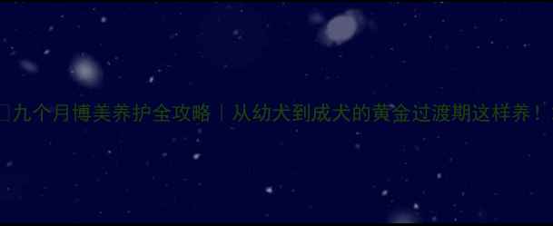 图片 🐾九个月博美养护全攻略｜从幼犬到成犬的黄金过渡期这样养！2