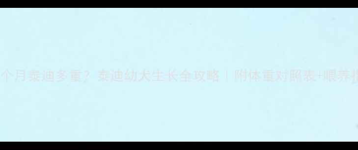 图片 🐾五个月泰迪多重？泰迪幼犬生长全攻略｜附体重对照表+喂养指南1
