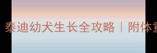 图片 🐾五个月泰迪多重？泰迪幼犬生长全攻略｜附体重对照表+喂养指南2