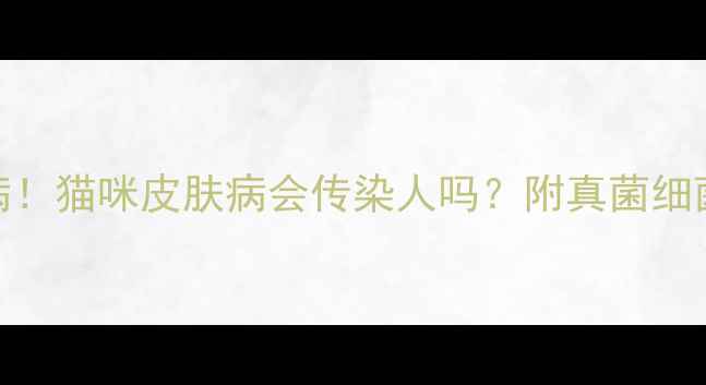 图片 🐾人猫共患病！猫咪皮肤病会传染人吗？附真菌细菌感染全攻略