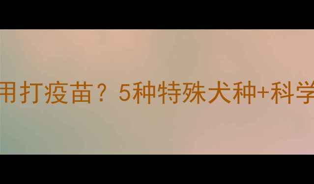 图片 🐾什么狗不用打疫苗？5种特殊犬种+科学替代方案🐶