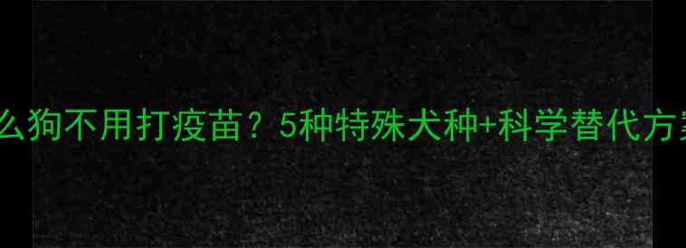 图片 🐾什么狗不用打疫苗？5种特殊犬种+科学替代方案🐶1