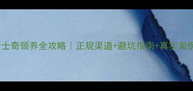 图片 🐾全国哈士奇领养全攻略｜正规渠道+避坑指南+真实案例分享🔥2