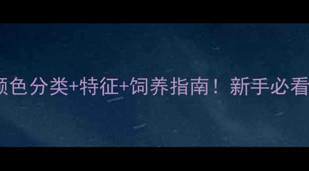 图片 🐾全拉布拉多颜色分类+特征+饲养指南！新手必看选狗避坑手册1