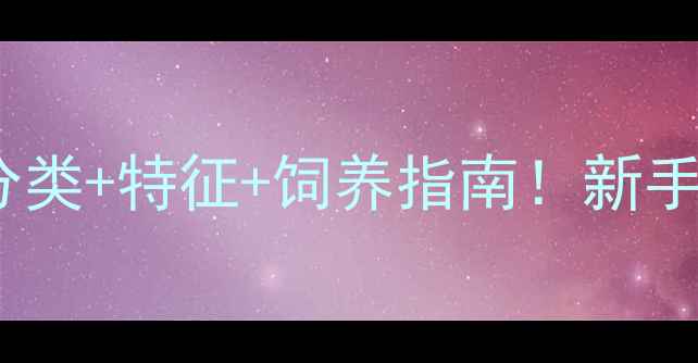 图片 🐾全拉布拉多颜色分类+特征+饲养指南！新手必看选狗避坑手册2