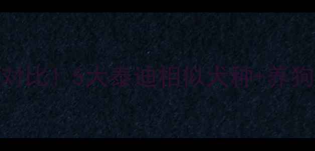 图片 🐾全网最全对比！5大泰迪相似犬种+养狗避坑指南🔥