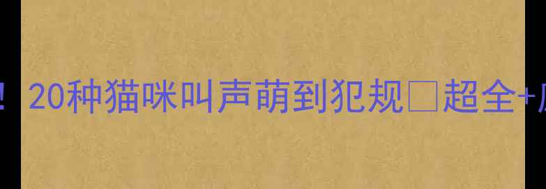 图片 🐾全网最全！20种猫咪叫声萌到犯规🔥超全+应对指南🐱1