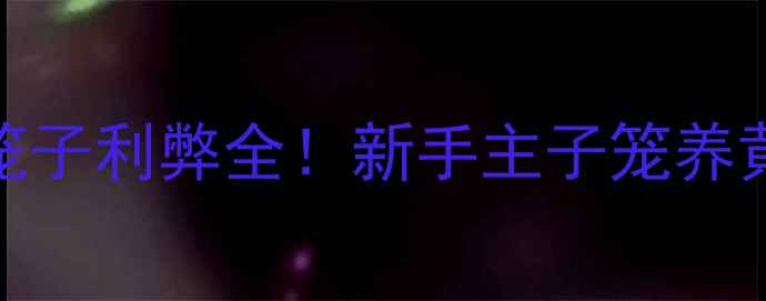 图片 🐾养狗必看小狗关笼子利弊全！新手主子笼养黄金法则+避坑指南1