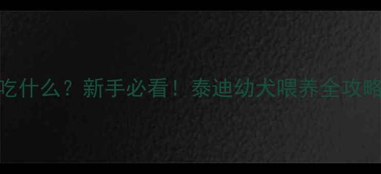 图片 🐾刚出生的小泰迪吃什么？新手必看！泰迪幼犬喂养全攻略（附保姆级教程）