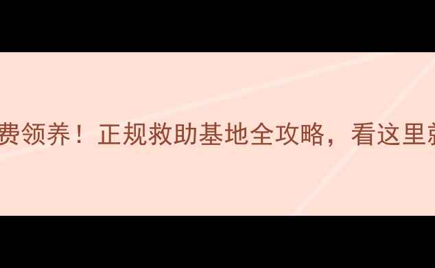 图片 🐾南昌宠物狗免费领养！正规救助基地全攻略，看这里就能领到毛孩子2