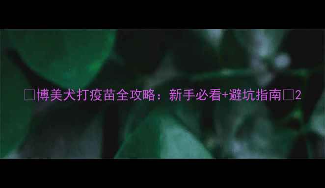 图片 🐾博美犬打疫苗全攻略：新手必看+避坑指南💉2