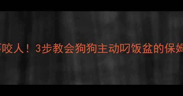 图片 🐾叼饭盆不咬人！3步教会狗狗主动叼饭盆的保姆级教程🔥2