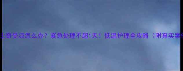 图片 🐾哈士奇受凉怎么办？紧急处理不超1天！低温护理全攻略（附真实案例）2