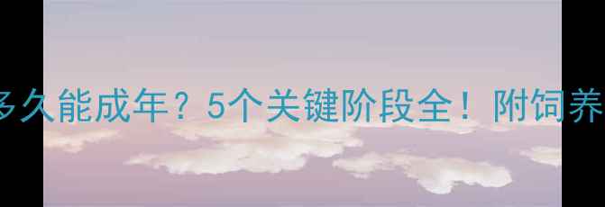 图片 🐾哈士奇多久能成年？5个关键阶段全！附饲养避坑指南2