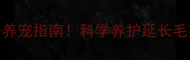 图片 🐾哈士奇寿命10年+养宠指南！科学养护延长毛孩子寿命的5个关键
