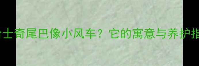 图片 🐾哈士奇尾巴像小风车？它的寓意与养护指南1