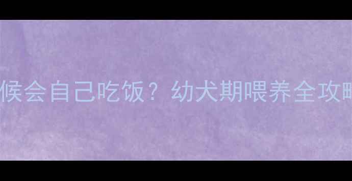 图片 🐾哈士奇幼犬什么时候会自己吃饭？幼犬期喂养全攻略（附发育时间表）2