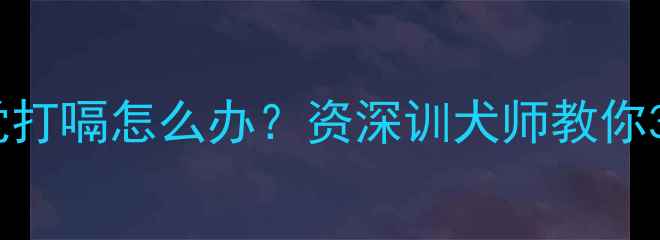 图片 🐾哈士奇幼犬睡觉打嗝怎么办？资深训犬师教你3步排查健康隐患1