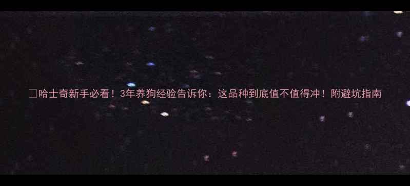 图片 🐾哈士奇新手必看！3年养狗经验告诉你：这品种到底值不值得冲！附避坑指南