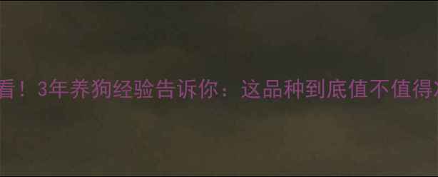 图片 🐾哈士奇新手必看！3年养狗经验告诉你：这品种到底值不值得冲！附避坑指南1