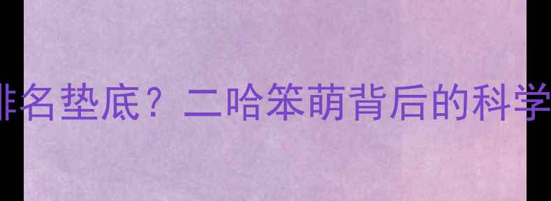 图片 🐾哈士奇智商排名垫底？二哈笨萌背后的科学真相+训练指南