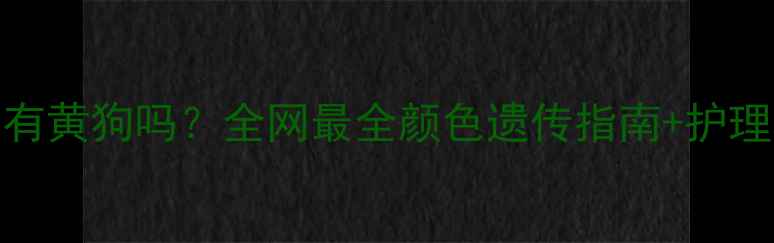 图片 🐾哈士奇毛色有黄狗吗？全网最全颜色遗传指南+护理干货大公开！