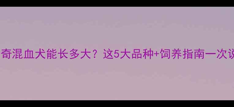 图片 🐾哈士奇混血犬能长多大？这5大品种+饲养指南一次说清！2