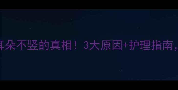 图片 🐾哈士奇耳朵不竖的真相！3大原因+护理指南，养宠必看