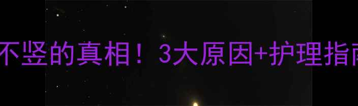 图片 🐾哈士奇耳朵不竖的真相！3大原因+护理指南，养宠必看1