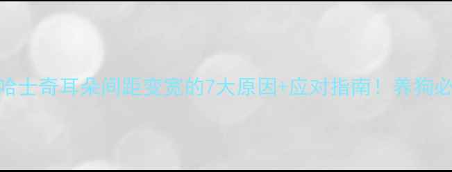 图片 🐾哈士奇耳朵间距变宽的7大原因+应对指南！养狗必看