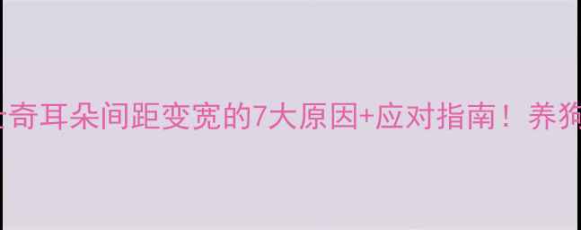 图片 🐾哈士奇耳朵间距变宽的7大原因+应对指南！养狗必看2