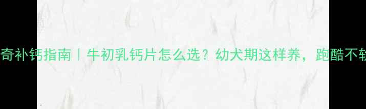 图片 🐾哈士奇补钙指南｜牛初乳钙片怎么选？幼犬期这样养，跑酷不软腿！2