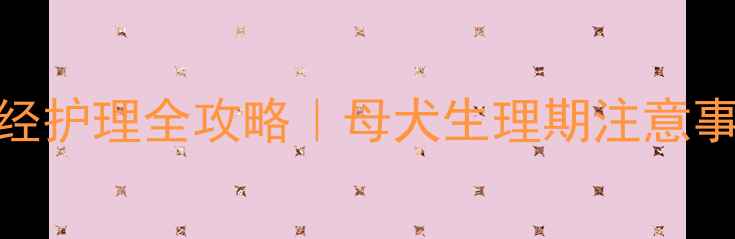 图片 🐾哈士奇首次月经护理全攻略｜母犬生理期注意事项+绝育指南💡1