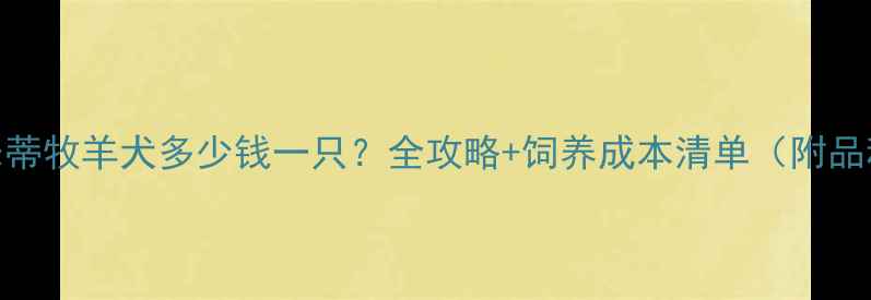 图片 🐾喜乐蒂牧羊犬多少钱一只？全攻略+饲养成本清单（附品种）🐾