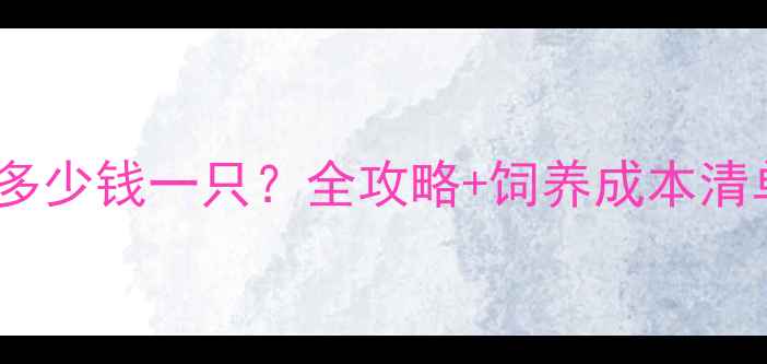 图片 🐾喜乐蒂牧羊犬多少钱一只？全攻略+饲养成本清单（附品种）🐾1