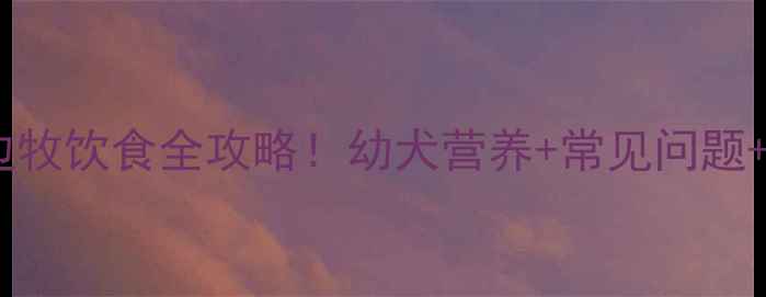 图片 🐾四个月边牧饮食全攻略！幼犬营养+常见问题+犯错纠正1