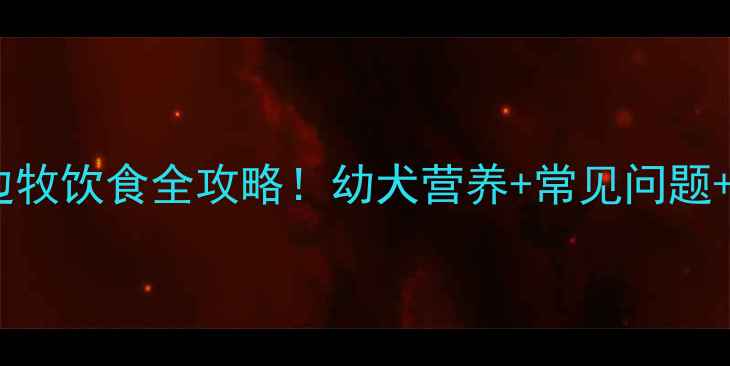 图片 🐾四个月边牧饮食全攻略！幼犬营养+常见问题+犯错纠正2