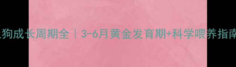 图片 🐾土狗成长周期全｜3-6月黄金发育期+科学喂养指南📈1