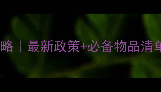 图片 🐾大巴车带宠物攻略｜最新政策+必备物品清单，看完再出发！2