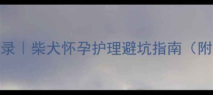 图片 🐾孕期57天全记录｜柴犬怀孕护理避坑指南（附产前准备清单）