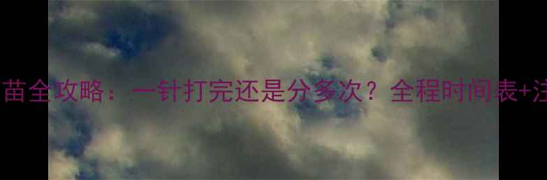 图片 🐾宠物狂犬疫苗全攻略：一针打完还是分多次？全程时间表+注意事项🐶💉2