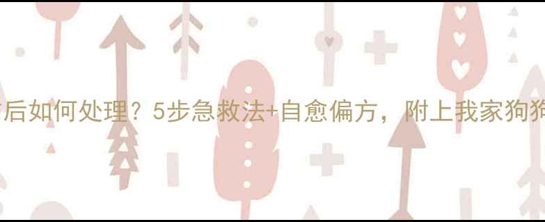 图片 🐾宠物狗咬伤后如何处理？5步急救法+自愈偏方，附上我家狗狗的护理日记1