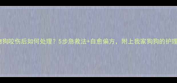图片 🐾宠物狗咬伤后如何处理？5步急救法+自愈偏方，附上我家狗狗的护理日记2