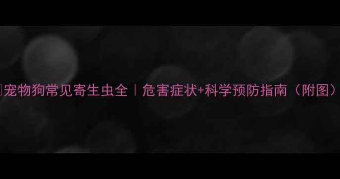 图片 🐾宠物狗常见寄生虫全｜危害症状+科学预防指南（附图）1