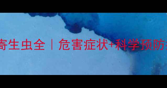 图片 🐾宠物狗常见寄生虫全｜危害症状+科学预防指南（附图）2